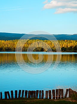 Autumn lake and birch trees forest