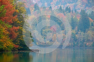 Autumn at lake Bled