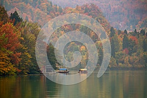 Autumn at lake Bled