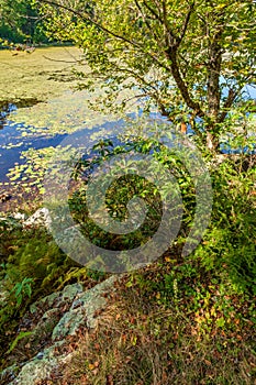 Autumn Lake Cliff Nature