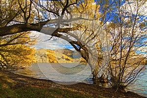 Autumn Lake Hayes near village Arrowtown, Otago Arrow Junction, road trip from Queenstown to Wanaka, New Zealand South Island