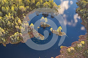 Autumn lake with islands in the forest, aerial view