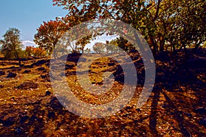 Autumn in Lake Jingpo photo