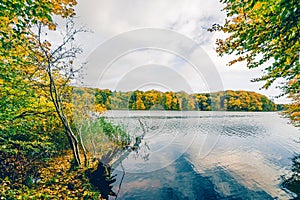 Autumn lake landscape with colorful trees