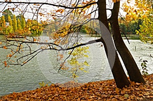 Autumn lake landscape, Uman, Cherkasy Oblast, Ukraine, Sofievka park