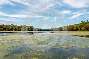 Autumn lake