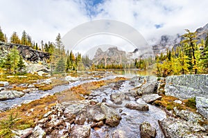 Autumn at Lake O`Hara in Canadian Rockies With Yukness Mountain on Moor Lakes photo