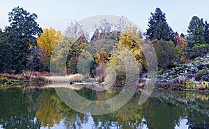 Autumn lake panorama