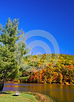 Autumn Lake Scene