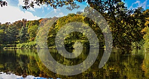 Autumn lake & seasonal trees