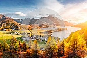 Autumn lake Sils in Swiss Alps