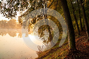 Autumn lake in soft warm lights