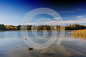 Autumn lake on a sunny day, water mirror