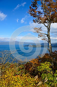 Autumn in the Lake Towada