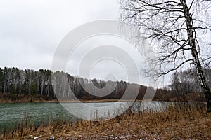 Autumn lake under drizzling rain and a tree on the shore