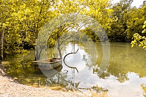 Autumn lake view with old wooden boat and yellow tree branches and creeper falling to the surface of the lake,Pulau Ubin,Singapore