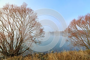 Autumn lake with willow trees and mist rising from the water