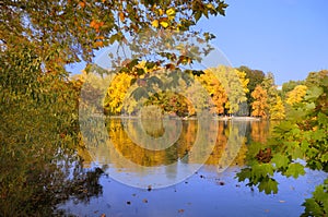 Autumn Lakeside Scene