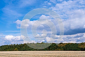 An autumn landscape.