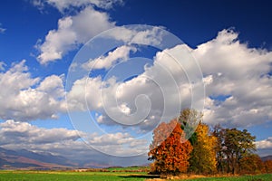 Autumn Landscape