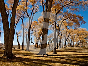 Autumn Landscape