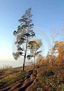 Autumn landscape