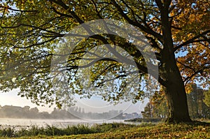 Autumn Landscape