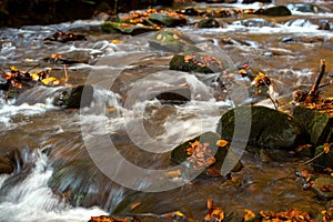 Autumn landscape