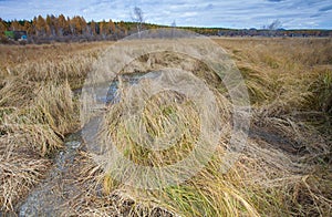 Autumn landscape