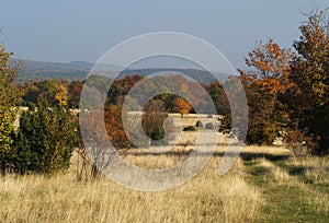 Autumn landscape