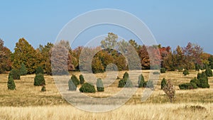 Autumn landscape