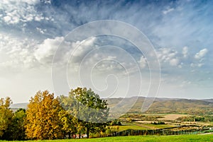 Autumn landscape