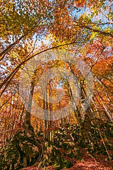 Autumn landscape in the abruzzo mountain, italy