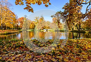 Autumn landscape in Alexander park, Pushkin Tsarskoe Selo, Saint Petersburg, Russia