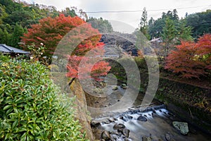 Autumn landscape background Red leave in Obara Nagoya Japan