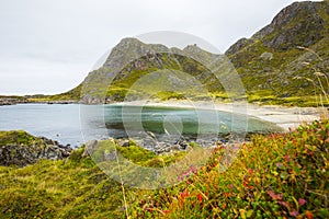 Autumn landscape and beach in Lofoten Islands, Northern Norway