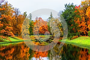 Autumn landscape, beautiful city park with fallen yellow leaves