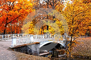 Autumn landscape, beautiful city park with white bridge and fallen yellow leaves