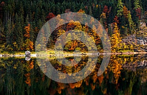 Autumn landscape beautiful colored trees over the river