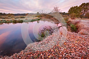 Autumn landscape beautiful colored trees over the river