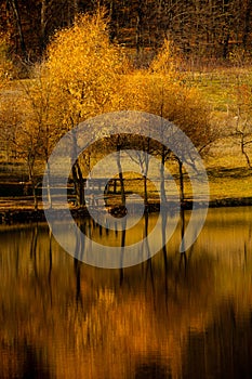 Autumn landscape beautiful colored trees over the river, glowing in sunlight. wonderful picturesque background. color in nature. B