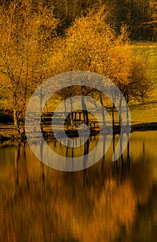 Autumn landscape beautiful colored trees over the river, glowing in sunlight. wonderful picturesque background. color in nature. B