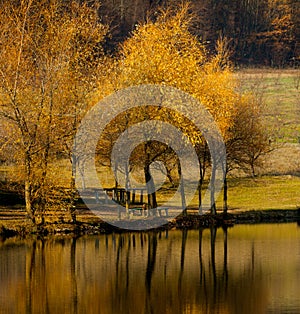 Autumn landscape beautiful colored trees over the river, glowing in sunlight. wonderful picturesque background. color in nature. B