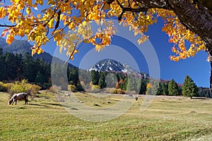 Autumn landscape with beautiful peaceful place