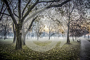 Autumn Landscape in Belgrade