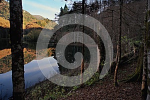 Autumn landscape on the Biogradsko lake. Biogradska Gora National Park, Montenegro.