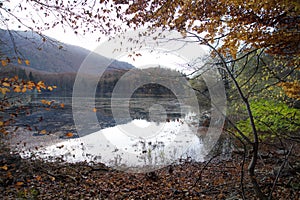 Autumn landscape on the Biogradsko lake. Biogradska Gora National Park, Montenegro.