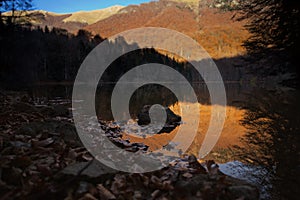 Autumn landscape on the Biogradsko lake. Biogradska Gora National Park, Montenegro. photo