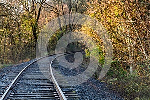 Autumn landscape of a brightly colored forest with empty  railroad tracks