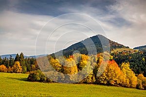 Jesenná krajina s pestrofarebnými stromami a kopcami
